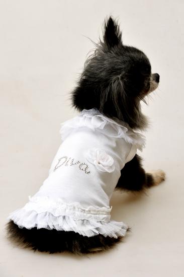 My First Trilly 春夏 – DOG＆CAT LUXARY FASHION SELECTSHOP