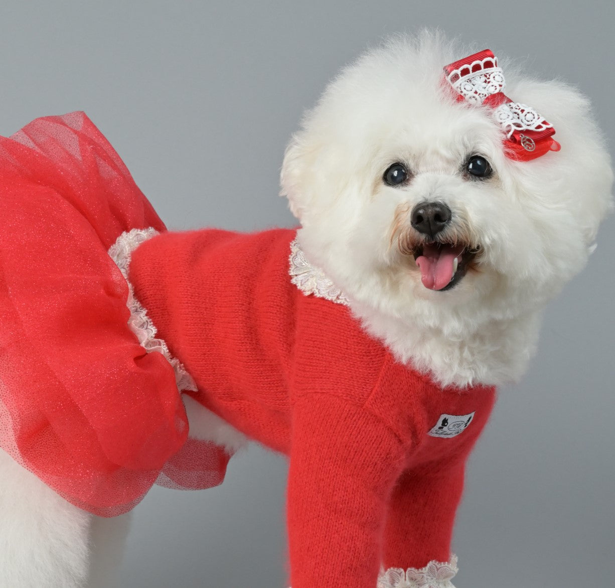 大型サイズのワンちゃん – DOG&CAT LUXURY FASHION SELECTSHOP 大型サイズのワンちゃん – DOG&CAT LUXURY FASHION SELECTSHOP