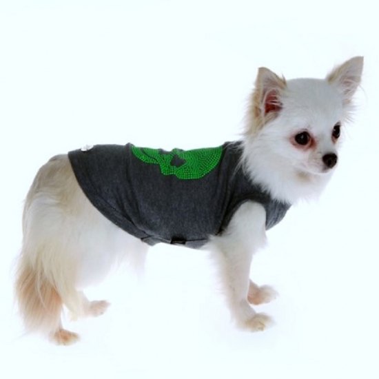 【即納】ELIO VERDE | 犬服/春夏/Tシャツ