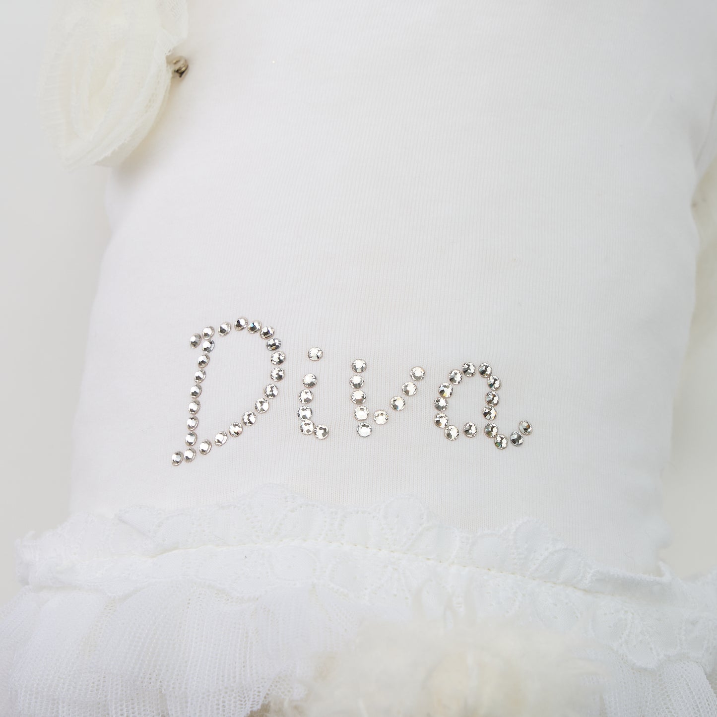 【即納】DELICIA BIANCO | 犬服/春夏/Tシャツ