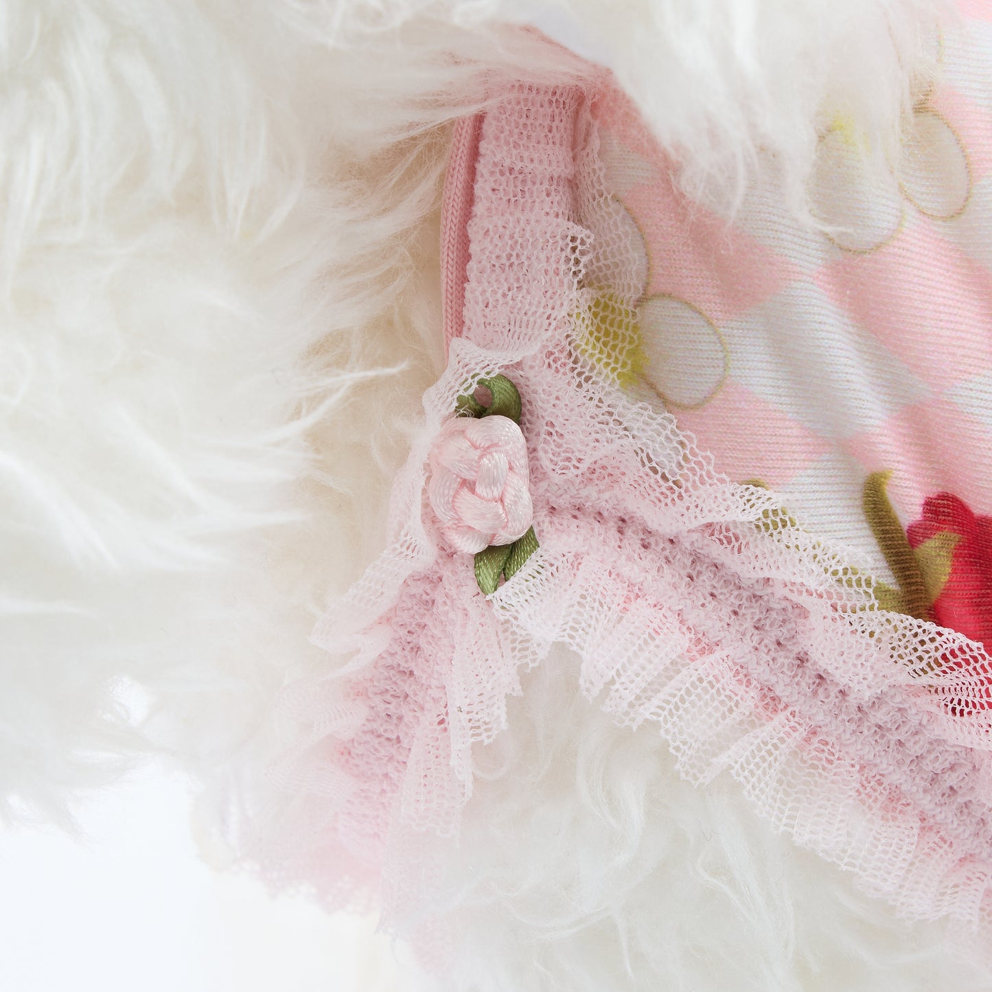 【即納】FRAMBOISE CANOTTA ROSA