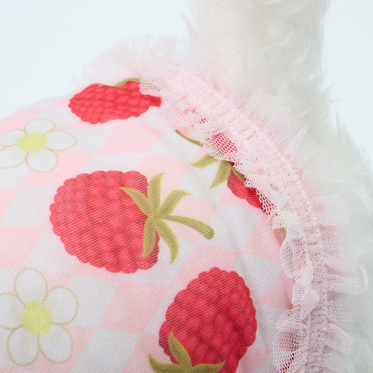 【即納】FRAMBOISE CANOTTA ROSA