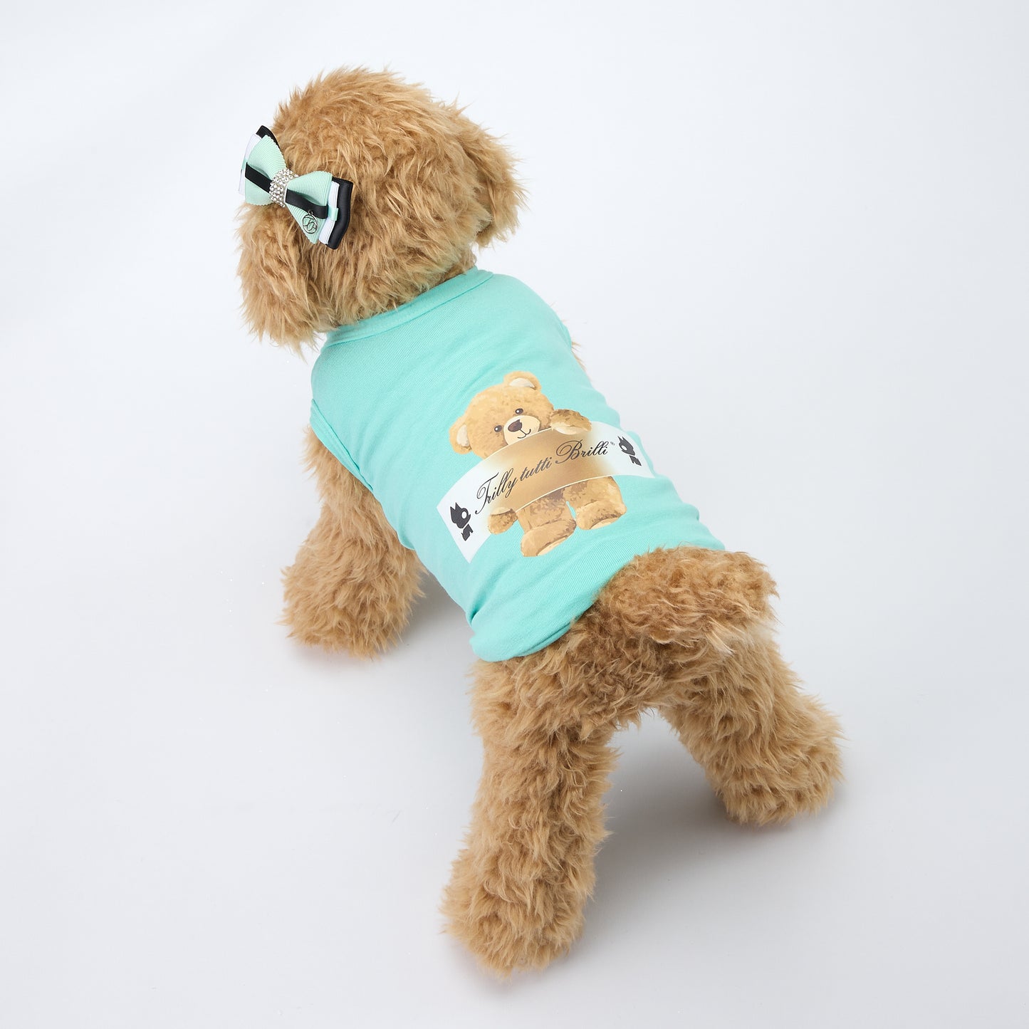 【予約販売:2025春夏新作コレクション】Tシャツ×リボンセットELEVIO TIFFANY|犬服/春夏/Tシャツ