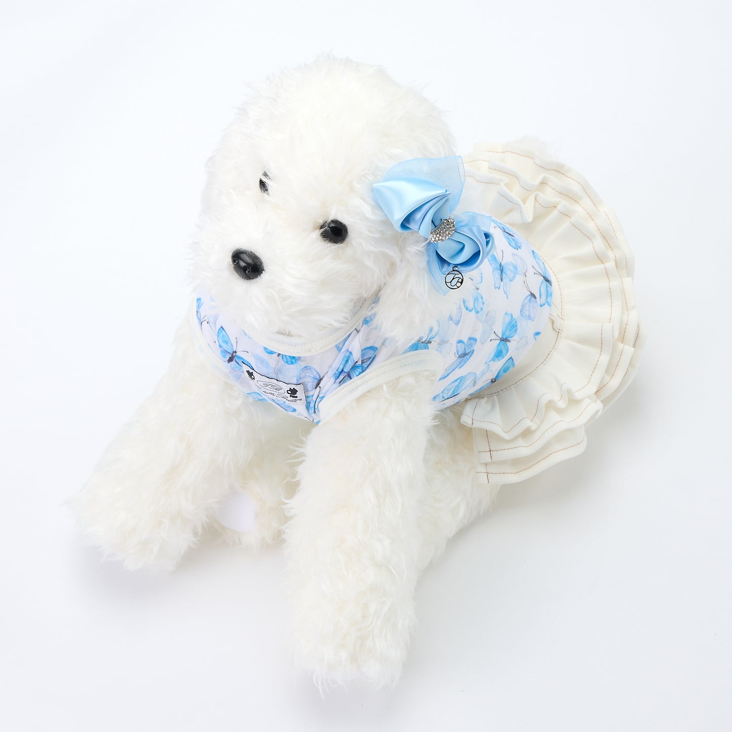 【即納】SARITA RIBBON AZZURRO