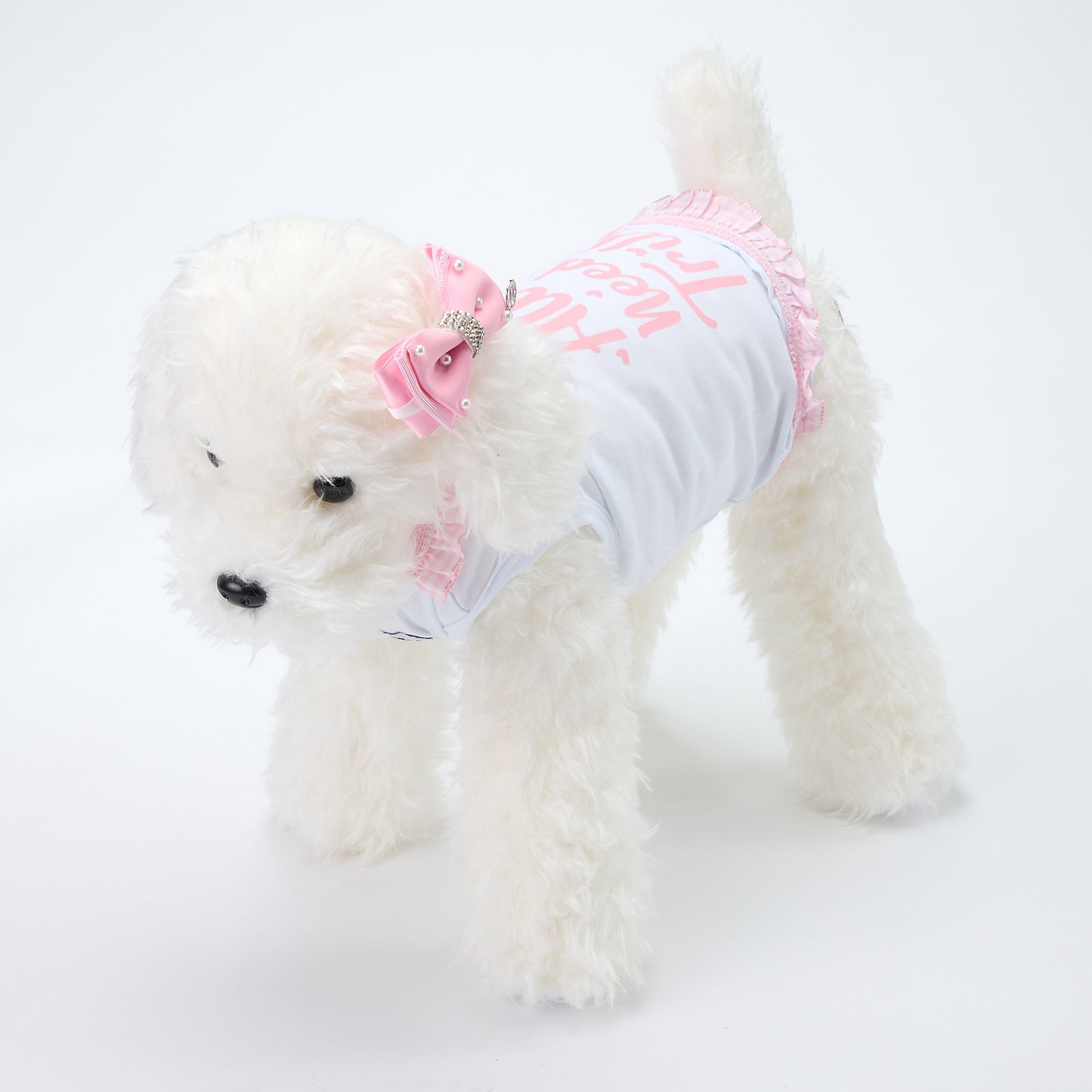 【予約販売:2025春夏新作コレクション】Tシャツ× リボンIDURRE S.J ROZA|犬服/春夏/Tシャツ