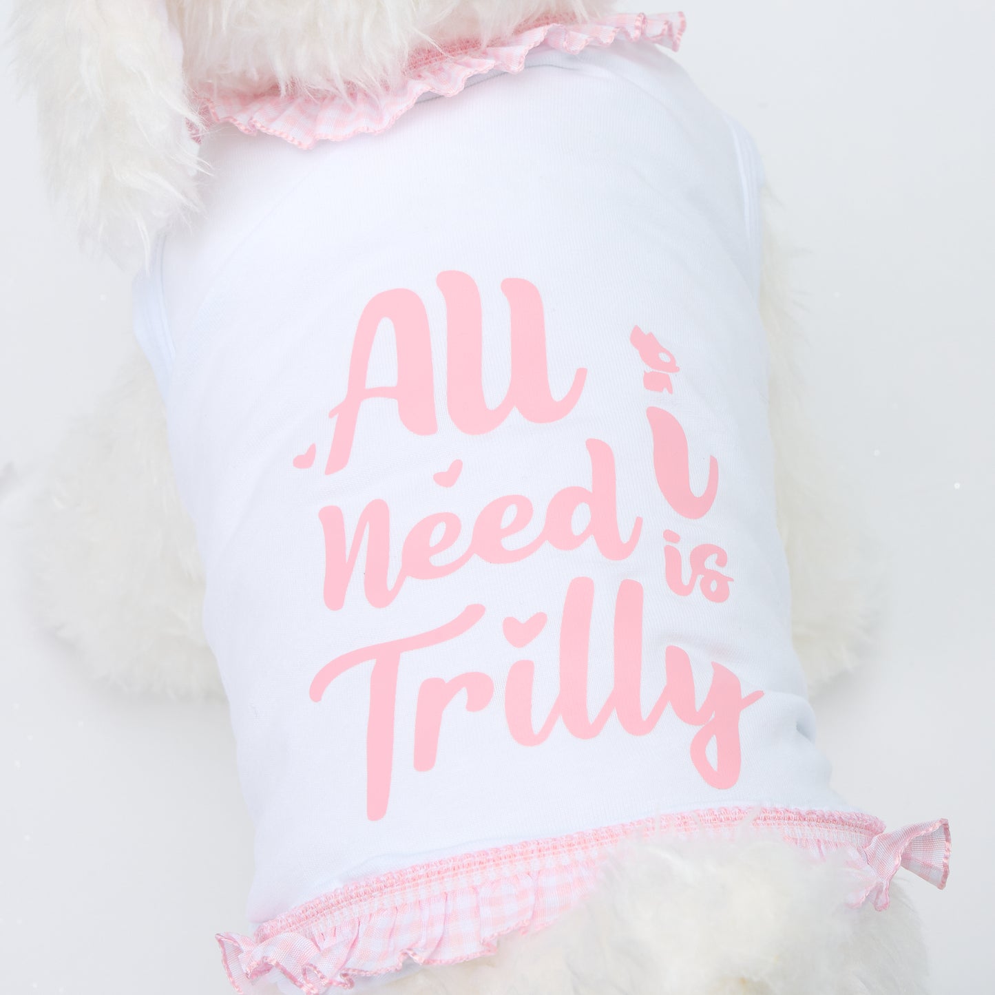 【予約販売:2025春夏新作コレクション】Tシャツ× リボンIDURRE S.J ROZA|犬服/春夏/Tシャツ