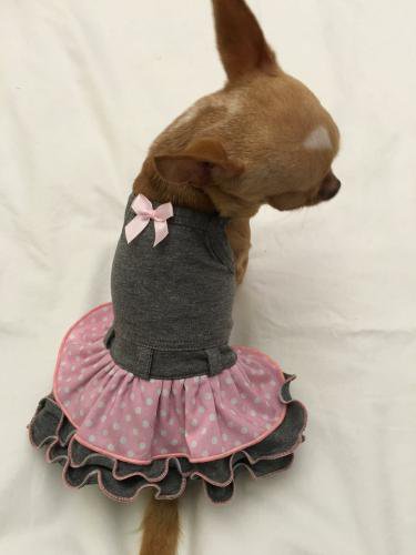 【即納】LISA ROSA SUNDRESS | 犬服/春夏/ドレス