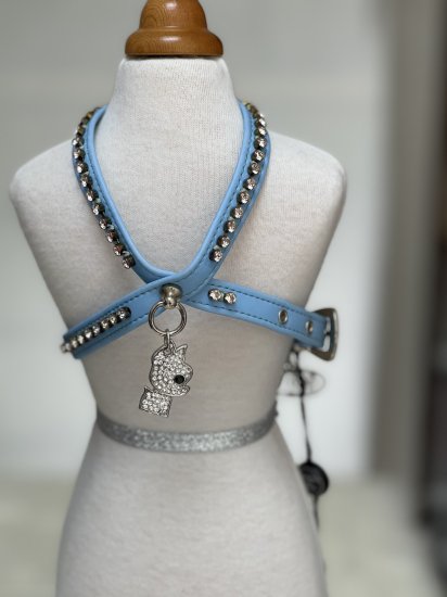 【即納】PET18シリーズ AZZURRO26 | 犬服/オールシーズン/ハーネス