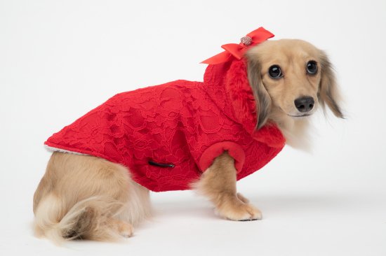 【即納】PIPER ROSSO | 犬服/秋冬/上着