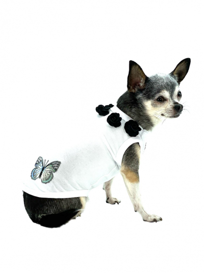 【即納】PIP NERO | 犬服/春夏/Tシャツ