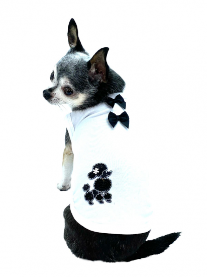 【即納】RUE BIANCO | 犬服/春夏/Tシャツ