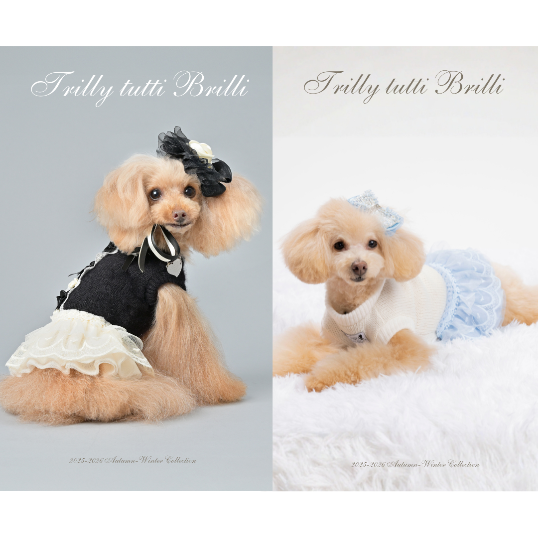 イタリア製　Trilly tutti Brilli ドレスコート　アイボリー カタログ25AW – DOG＆CAT LUXURY FASHION SELECTSHOP | Trilly tutti