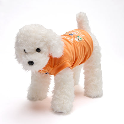 【２０２６秋冬新作】　FRIENDS FOREVER ARANCIA　Tシャツ／秋冬／犬服