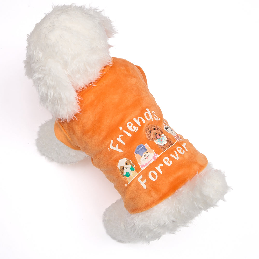【２０２６秋冬新作】　FRIENDS FOREVER ARANCIA　Tシャツ／秋冬／犬服