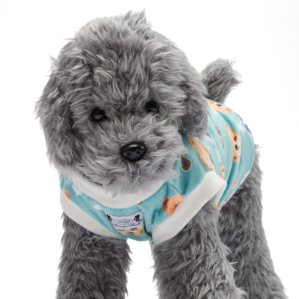 【２０２６秋冬新作】　CHICPUP. AZZURRO　Tシャツ／秋冬／犬服