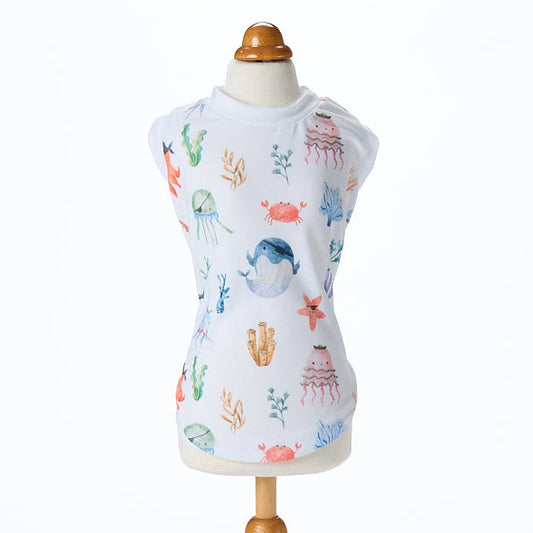 【即納2026春夏新作】ARMANDO  T-S BIANCO｜犬服｜春夏｜Tシャツ