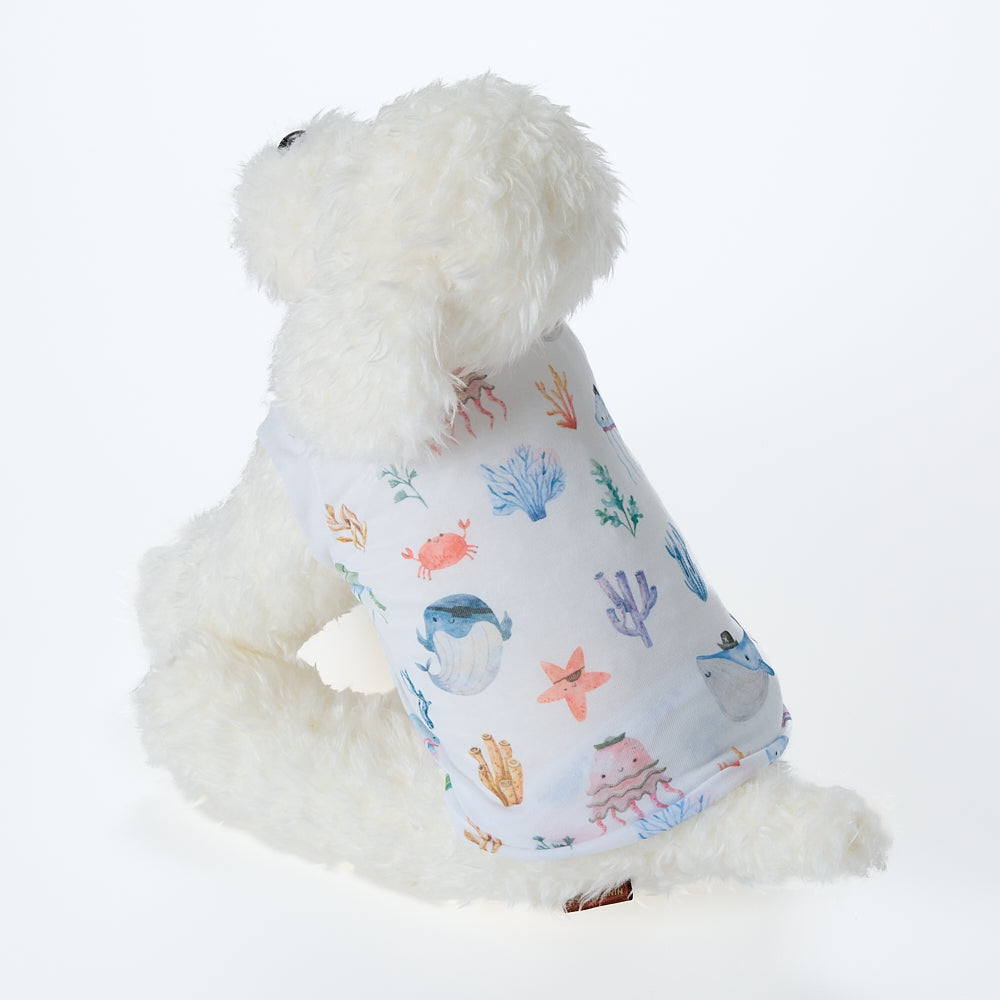 【即納2026春夏新作】ARMANDO  T-S BIANCO｜犬服｜春夏｜Tシャツ