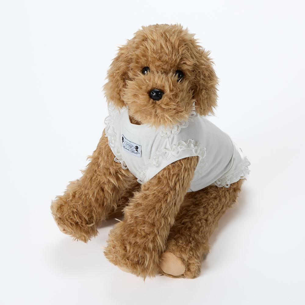 【即納2026春夏新作】GALA CAMELIE T-S AVORIO｜犬服｜春夏｜Tシャツ