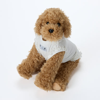 【即納2026春夏新作】GALA CAMELIE T-S AVORIO｜犬服｜春夏｜Tシャツ