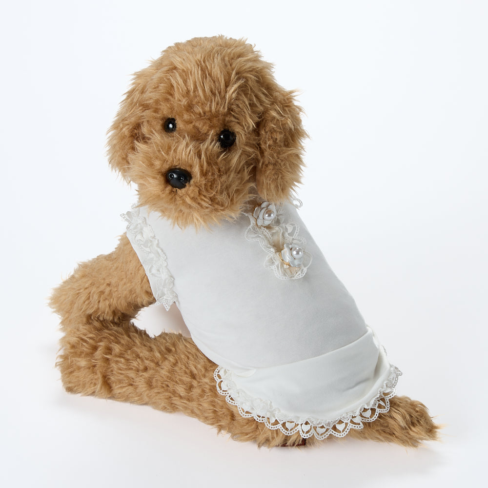 【即納2026春夏新作】GALA CAMELIE T-S AVORIO｜犬服｜春夏｜Tシャツ