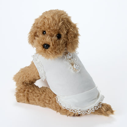 【即納2026春夏新作】GALA CAMELIE T-S AVORIO｜犬服｜春夏｜Tシャツ