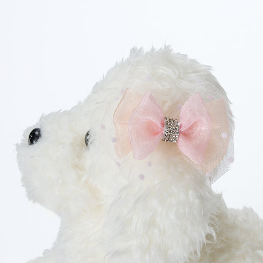 【予約販売：新作Lino Cammino】Dot Apricot リボン