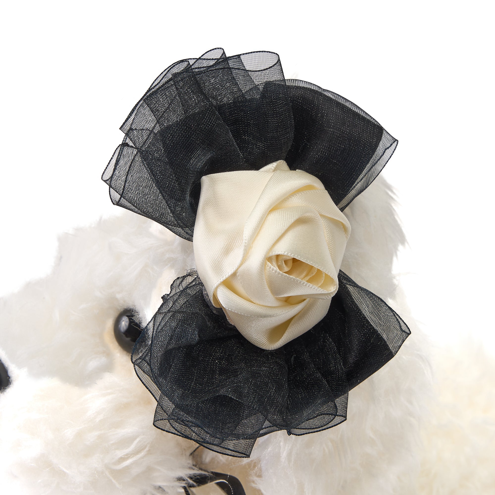 Trilly tutti Brilli 日本輸入総代理店 DOG＆CAT LUXURY FASHION