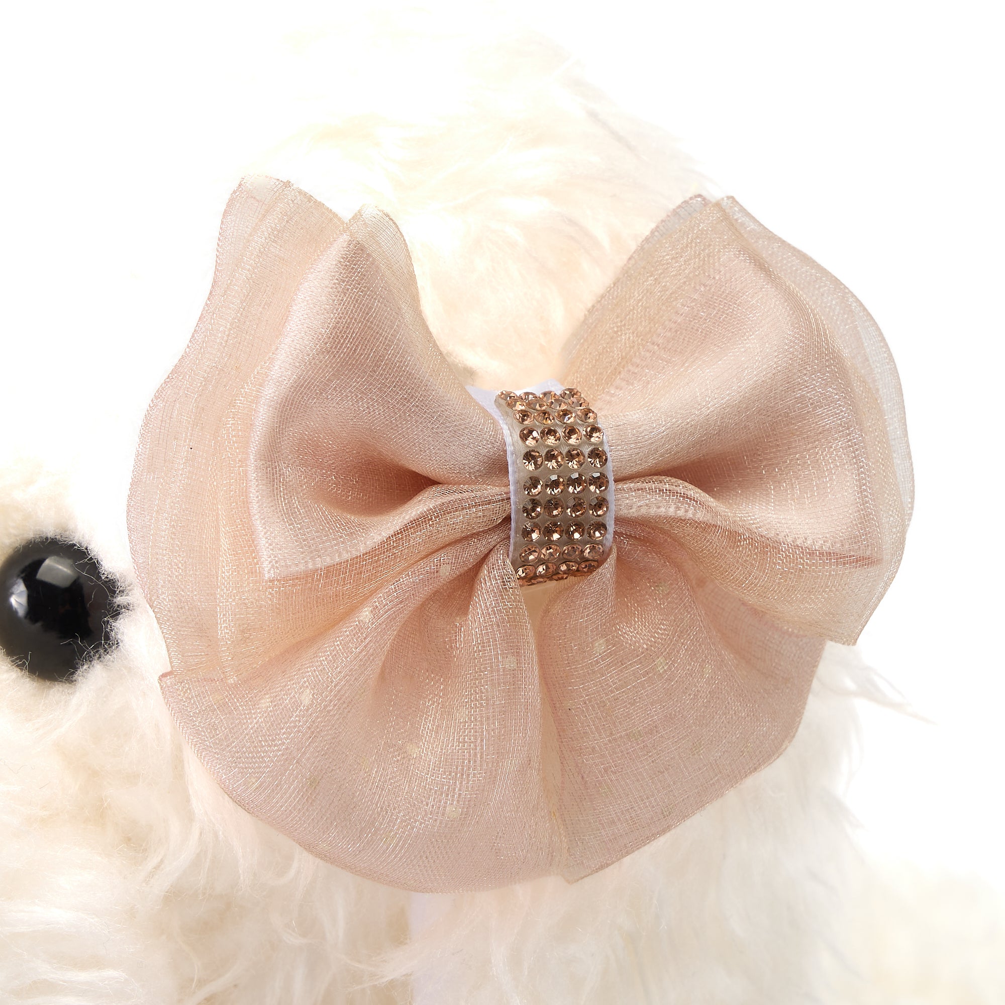 All | 犬服 | TrillytuttiBrilli – DOG＆CAT LUXURY FASHION