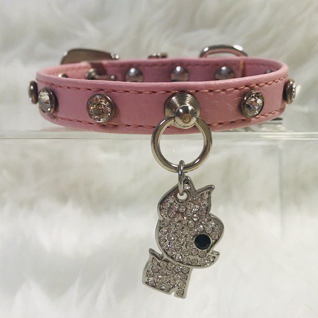 首輪＆リード｜Trilly tutti Brilli Japan 公式オンラインストア