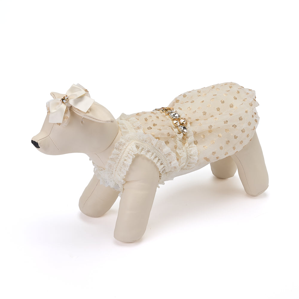 [限定商品】ホリデーシーズンコレクション　GOLDEN DREAM　ドレス