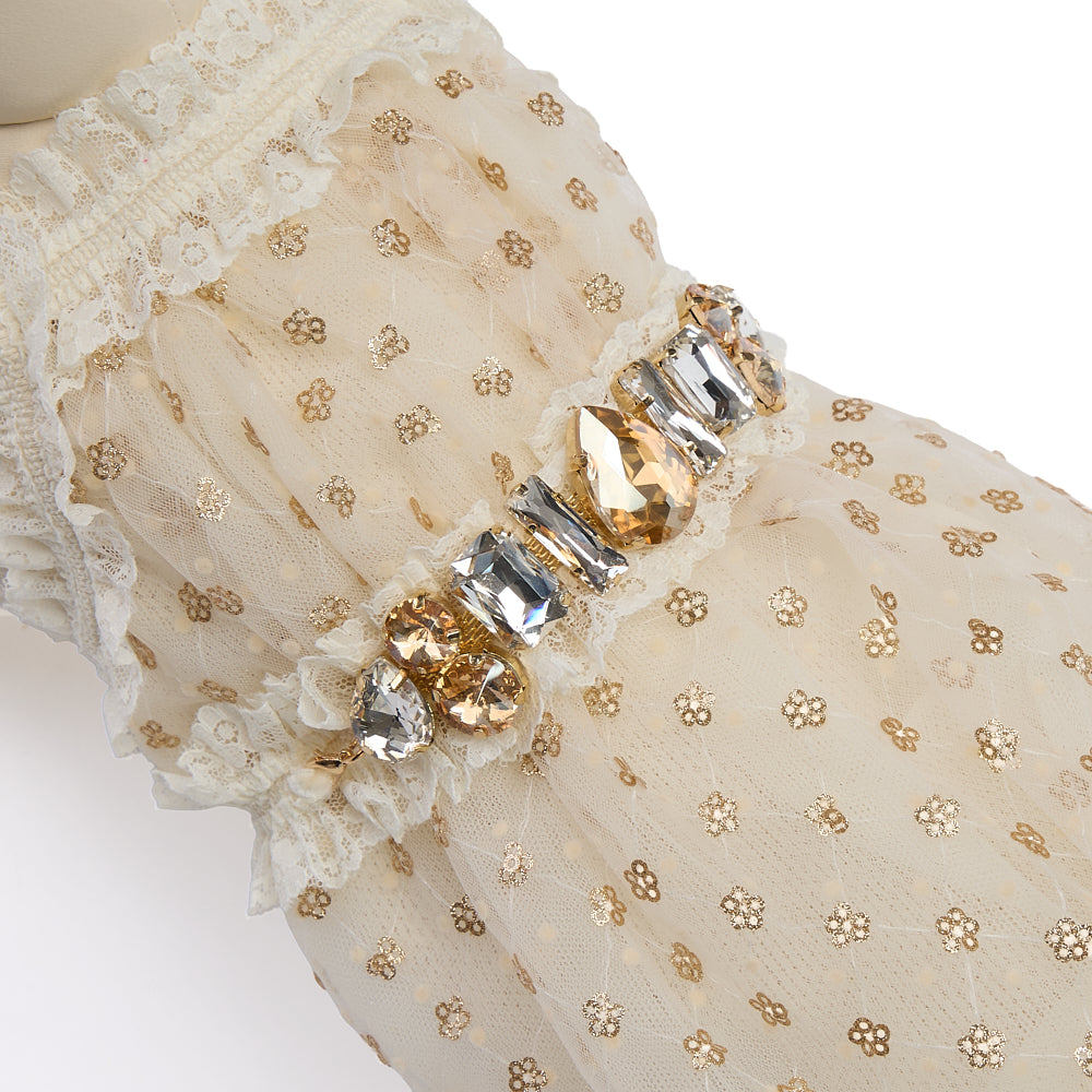 [限定商品】ホリデーシーズンコレクション　GOLDEN DREAM　ドレス