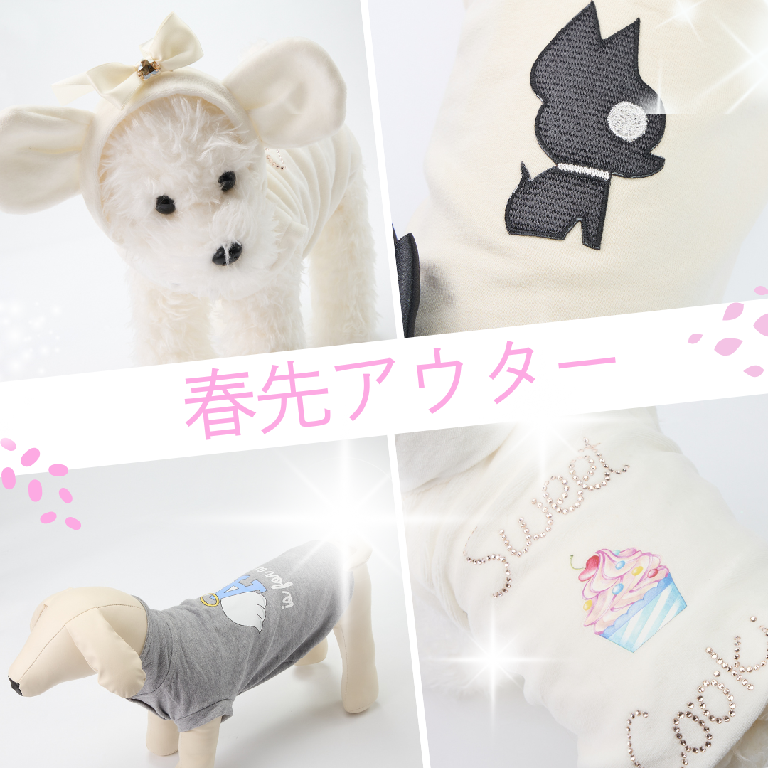 ⭐️テオアイムクール⭐️犬服⭐️ロック⭐️XS ⭐️テオアイム ⭐️テオアイムクール⭐️犬服⭐️ロック⭐️XS ⭐️テオアイム