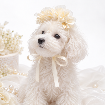 【Lino Cammino新作】Ivory Frill　アイボリーフリル　ヘアアクセサリー／ヘアリボン／チョーカー／犬服