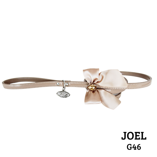 【即納】JOEL G 46 | 犬服/オールシーズン/リード