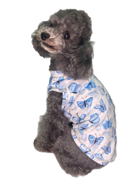 【２０２５春夏新作コレクション】SARITA T-S.1 AZZURRO｜犬服/春夏/Tシャツ
