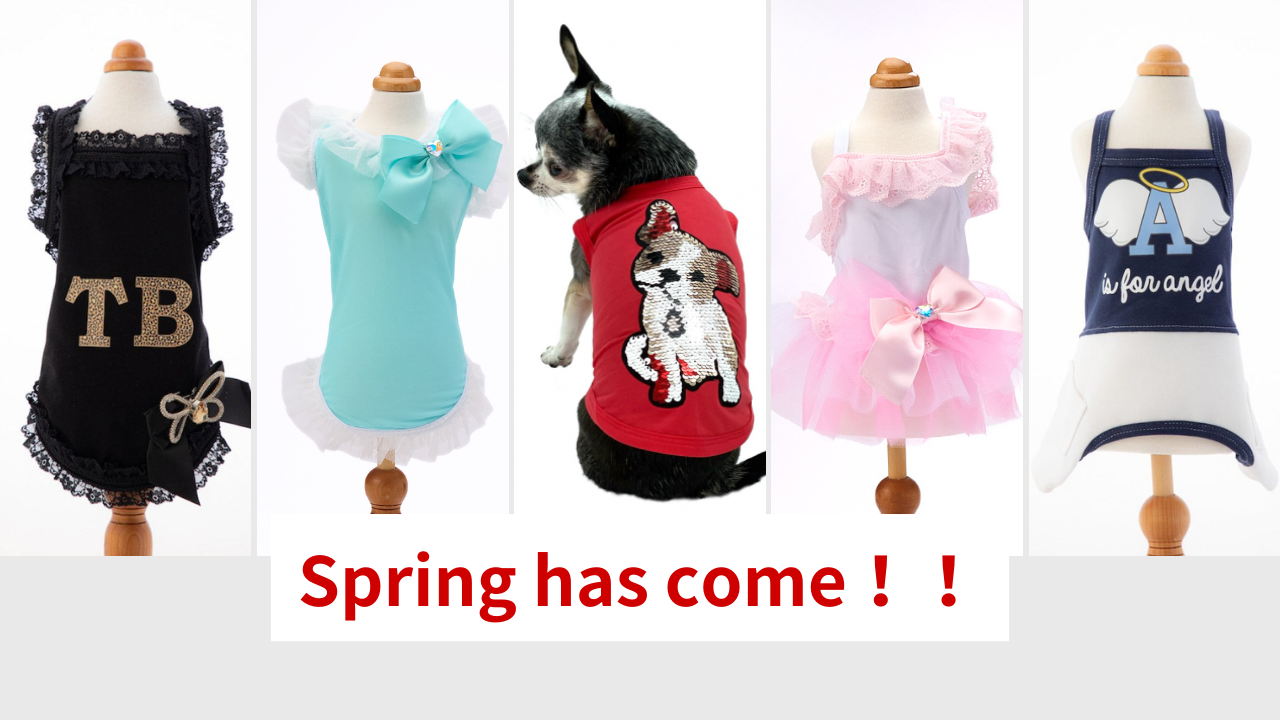 Trilly tutti Brilli 日本輸入総代理店 DOG&CAT LUXURY FASHION Trilly tutti Brilli 日本輸入総代理店 DOG&CAT LUXURY FASHION