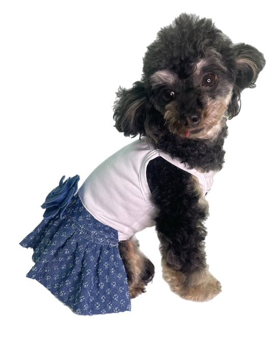 【２０２５春夏新作コレクション】TADEO JEANS｜犬服/春夏/ドレス